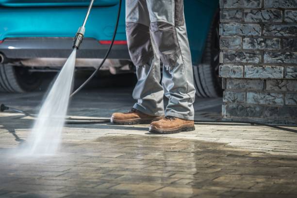Best Warehouse Cleaning  in Stacy, MN