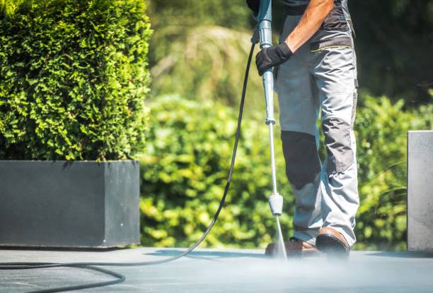 Best Solar Panel Cleaning  in Stacy, MN