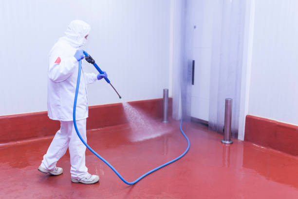 Best Oil Spill Cleanup  in Stacy, MN