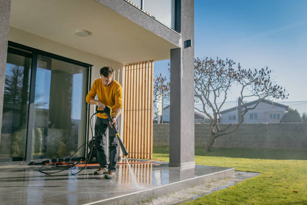 Best Roof Washing  in Stacy, MN