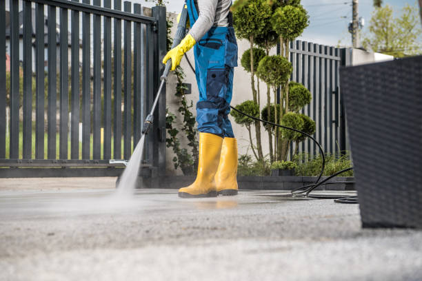 Best Fence Cleaning  in Stacy, MN